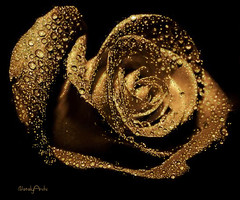 Золотая роза - с цветами