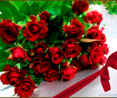 Красные розы - с цветами