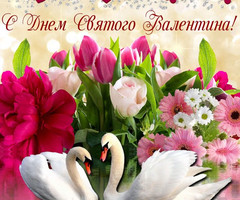 Белые лебеди на фоне цветов - день Святого Валентина