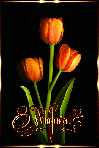Нежные тюльпаны к 8 марта - с 8 марта