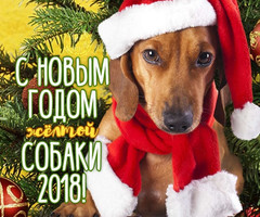 С Новым Годом желтой собаки 2018