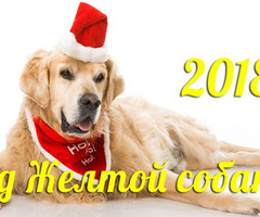 С Новым Годом желтой собаки