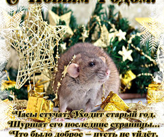 Год крысы - с новым годом