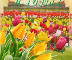 Поздравительная открытка с праздником Навруз - на Мусульманские праздники